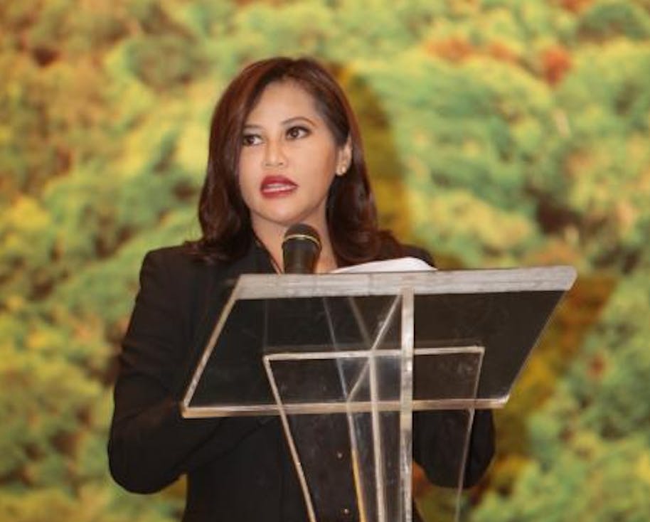 Asia Pulp and Paper FCP Event - Aida Greenbury