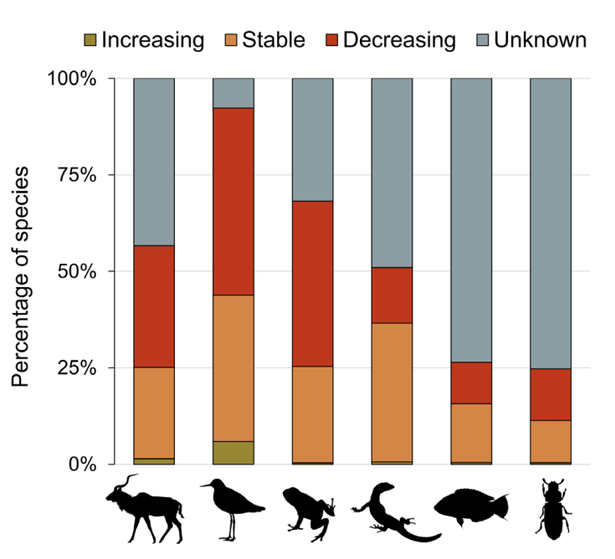 Species in decline