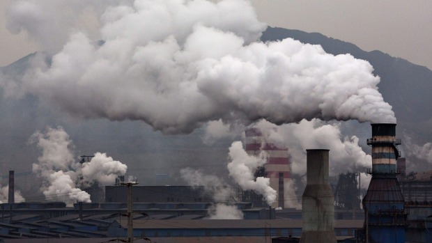 What are New Zealand’s environmental priorities over the next 20 years?