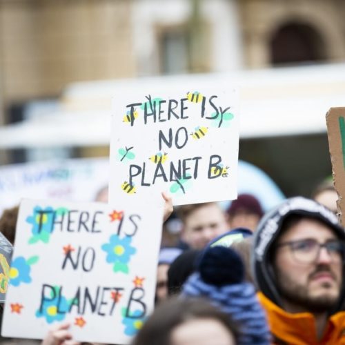 The Top 11 Plant-Based News Stories for September