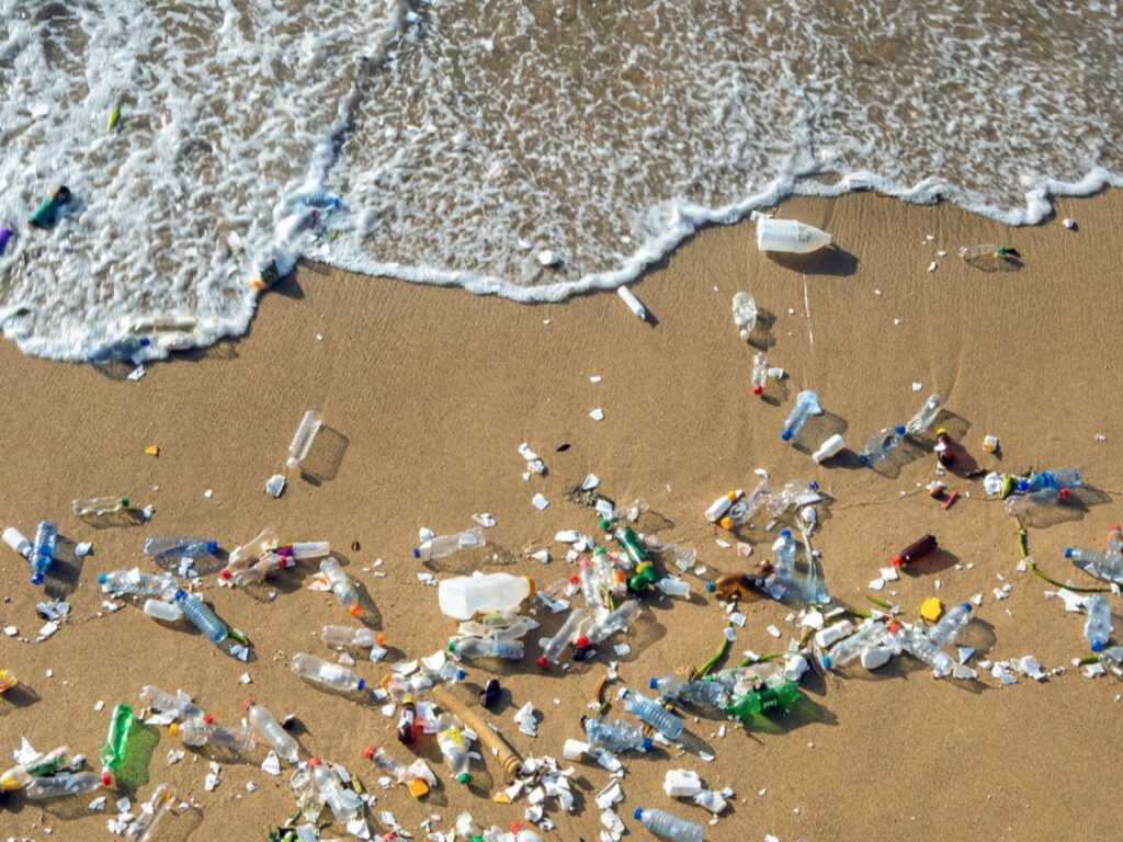 New Zealand to Ban Common SingleUse Plastic by 2025